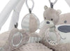 Babyzee Bear Necessities Play Gym (0m+)